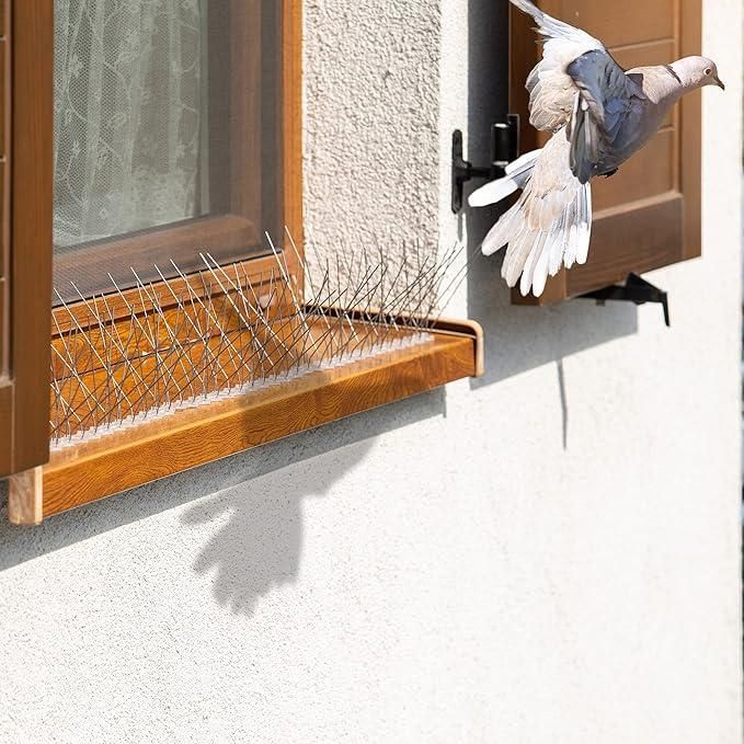 Bird Spikes – Bird Repellent Nails (Pack of 10)